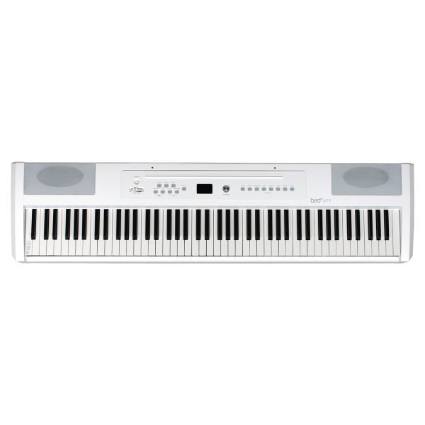 Piano BIRD INSTRUMENTS XP1 WH